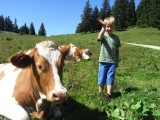 Eine Junge steht neben einer Kuh, die auf der Wiese liegt.